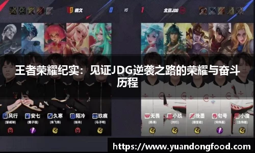 王者荣耀纪实：见证JDG逆袭之路的荣耀与奋斗历程