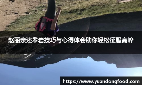 米乐YY易游