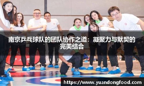 米乐YY易游