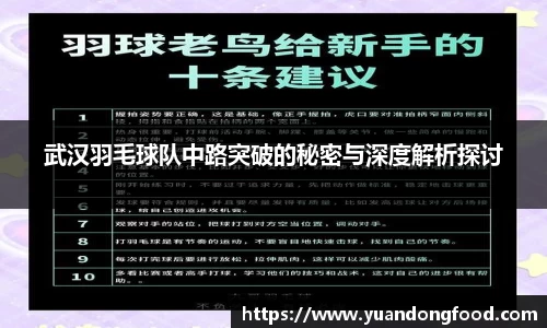 武汉羽毛球队中路突破的秘密与深度解析探讨
