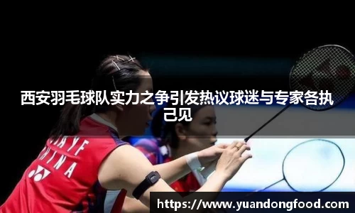 西安羽毛球队实力之争引发热议球迷与专家各执己见