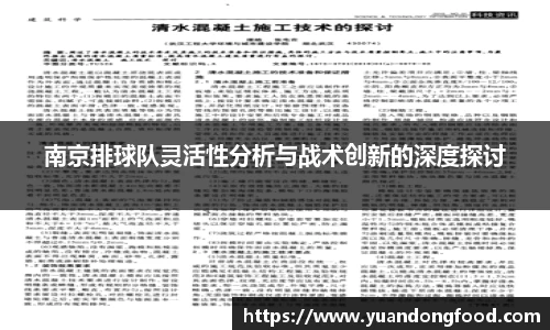 南京排球队灵活性分析与战术创新的深度探讨