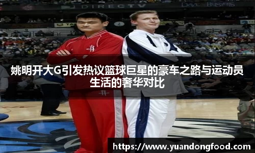 yy易游体育