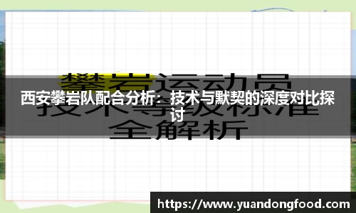 西安攀岩队配合分析：技术与默契的深度对比探讨
