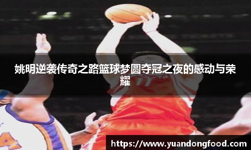 易游体育