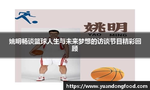 yy易游