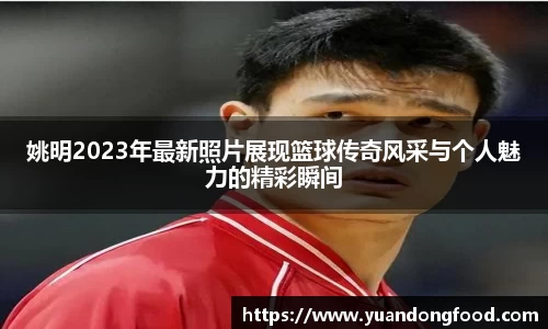米乐YY易游
