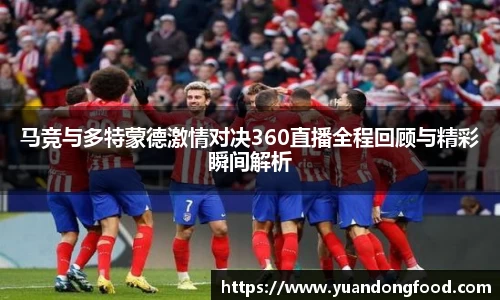 yy易游体育