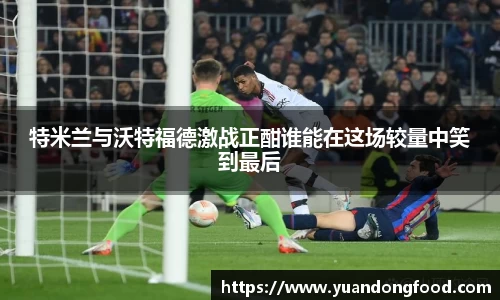 yy易游体育