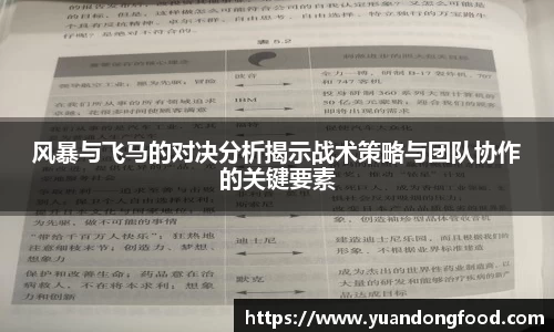 风暴与飞马的对决分析揭示战术策略与团队协作的关键要素