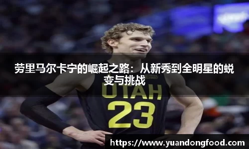 劳里马尔卡宁的崛起之路：从新秀到全明星的蜕变与挑战
