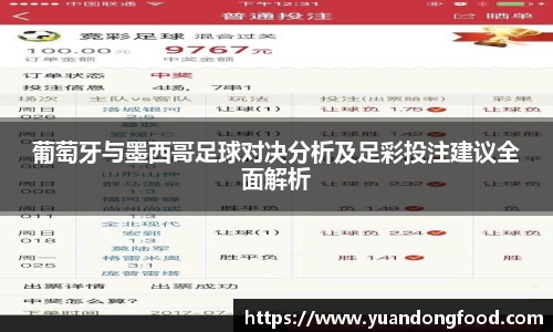 yy易游