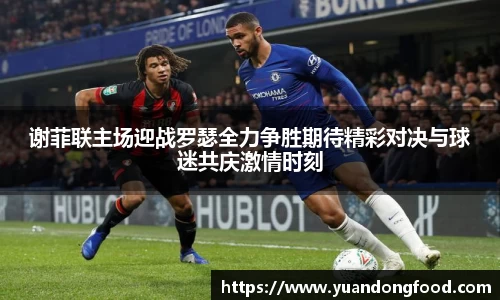 谢菲联主场迎战罗瑟全力争胜期待精彩对决与球迷共庆激情时刻