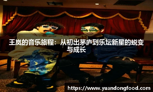 王岚的音乐旅程：从初出茅庐到乐坛新星的蜕变与成长