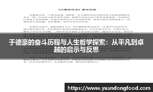 yy易游体育