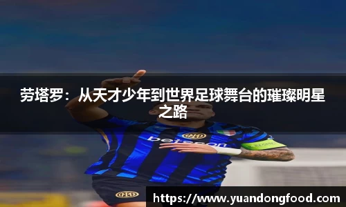 米乐YY易游
