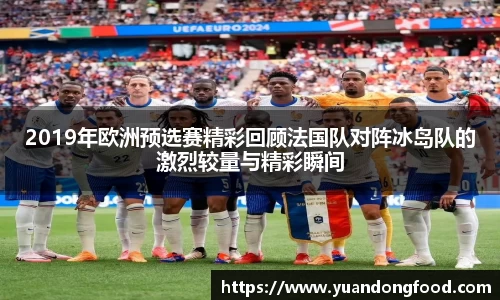 2019年欧洲预选赛精彩回顾法国队对阵冰岛队的激烈较量与精彩瞬间