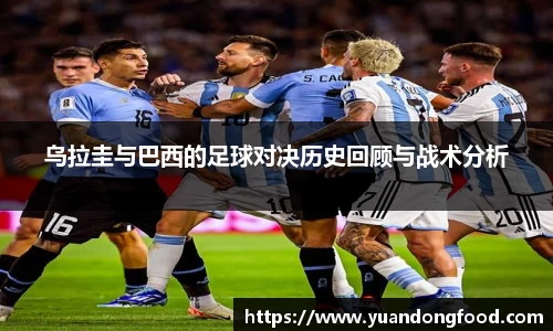 米乐YY易游