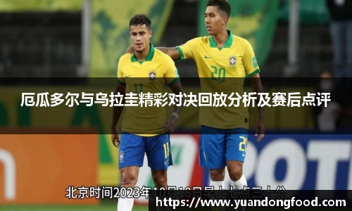 yy易游
