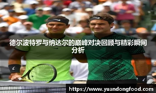 德尔波特罗与纳达尔的巅峰对决回顾与精彩瞬间分析