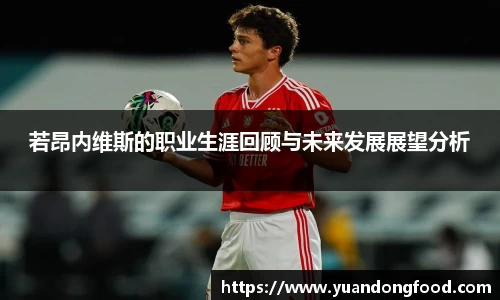 米乐YY易游
