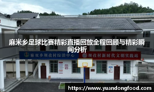 yy易游体育