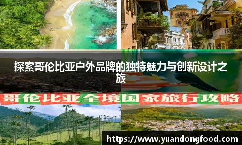 yy易游