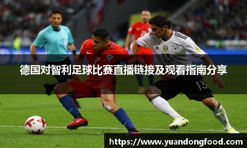 米乐YY易游